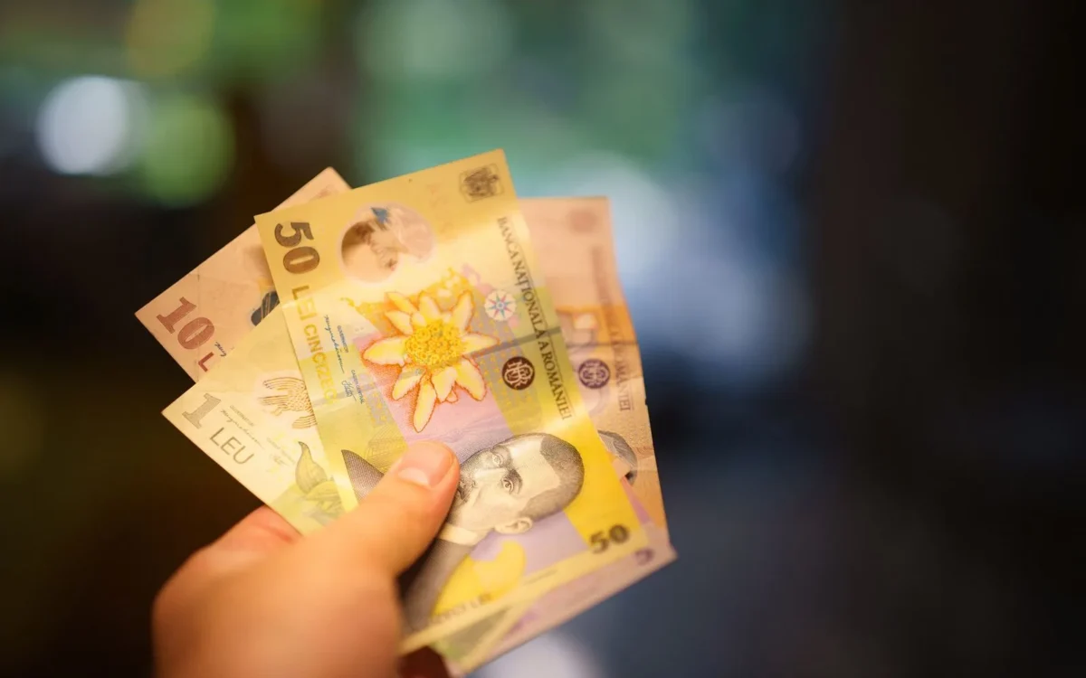 Mână cu bancnote românești
