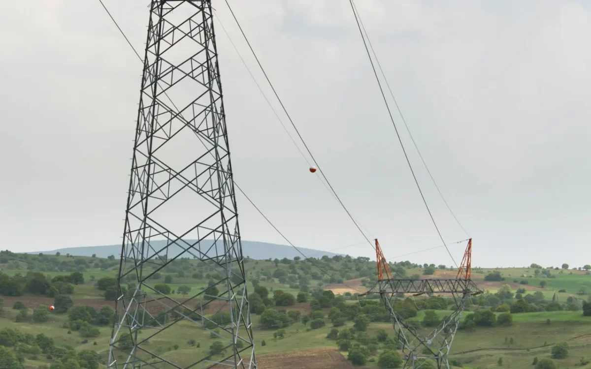 Doi stâlpi ai unei linii electrice în câmp
